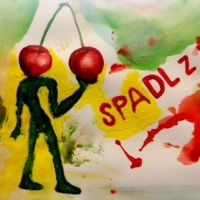 Jiří Sobotka | Spadl z višně