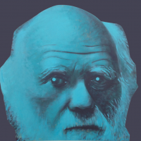 Petr Bureš | Darwinova hlava