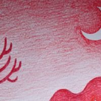 Lukáš Vlček | BARVY A TVARY