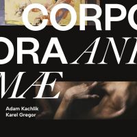 Adam Kachlík, Karel Gregor | CORPORA ANIMAE